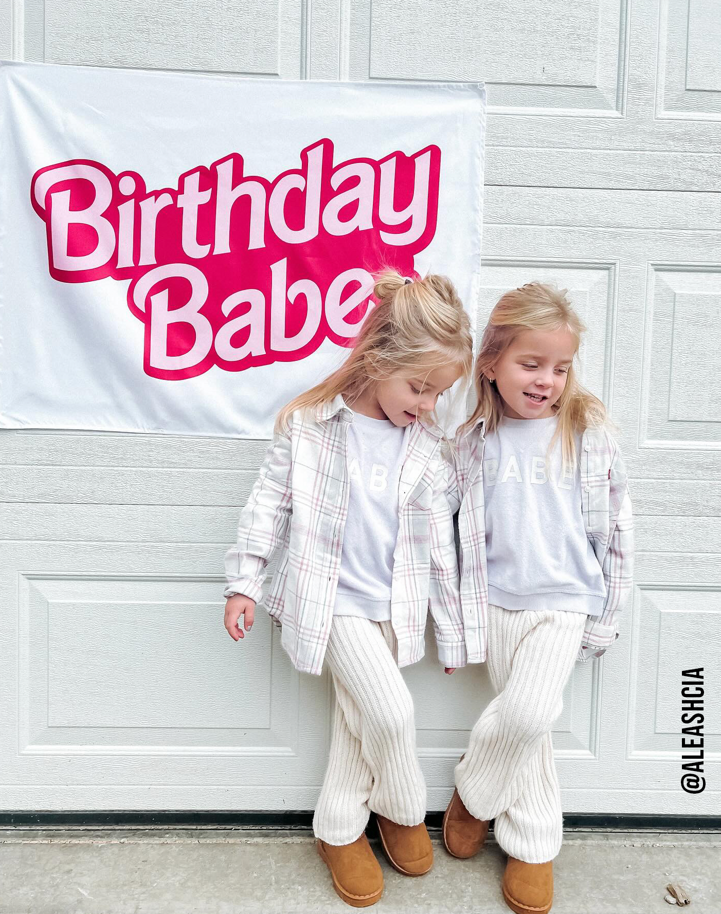 Birthday Babe Banner (Barbie Inspired) | Girls Birthday Sign