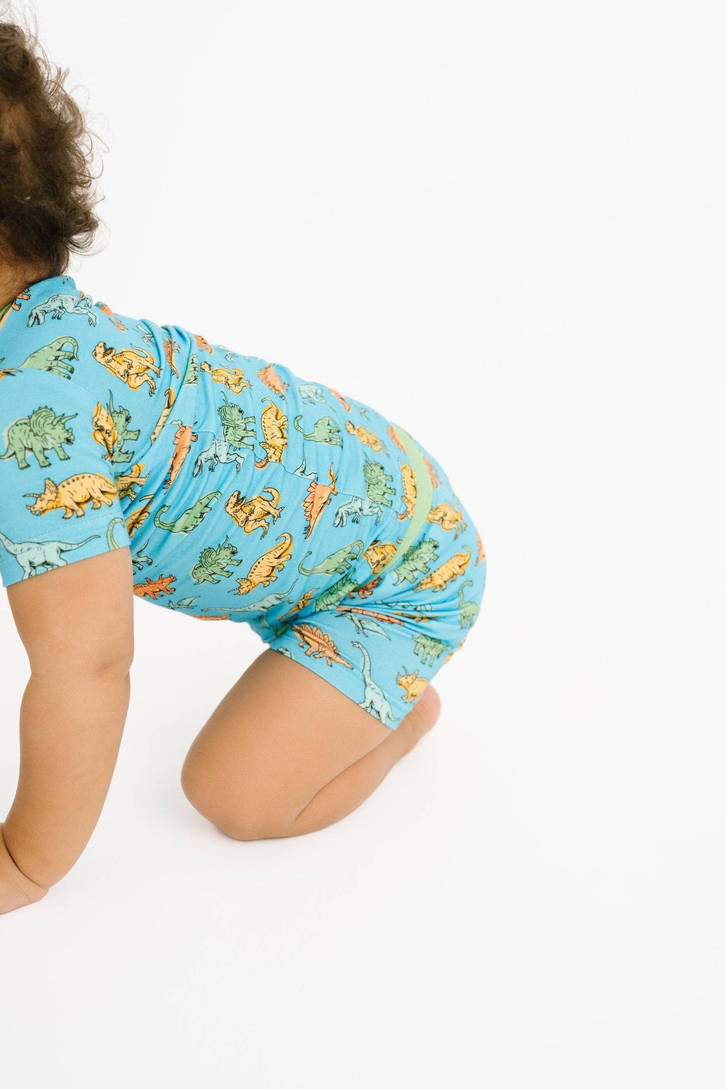 Dino Land Bamboo Shorts Set