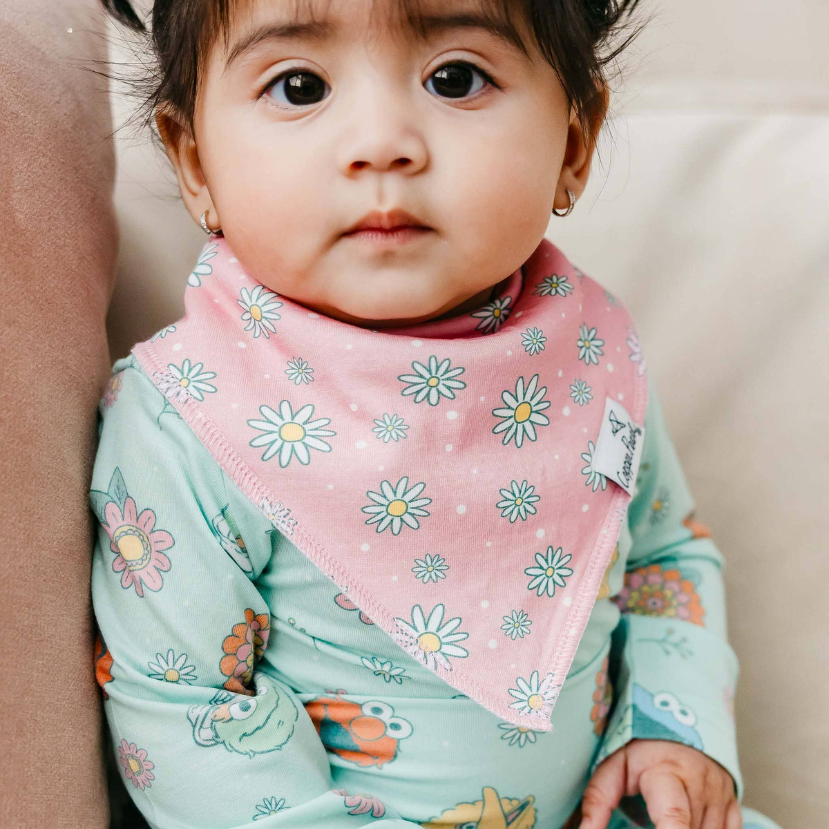4 Pack Baby Bandana Bibs - Sesame Street Retro Floral