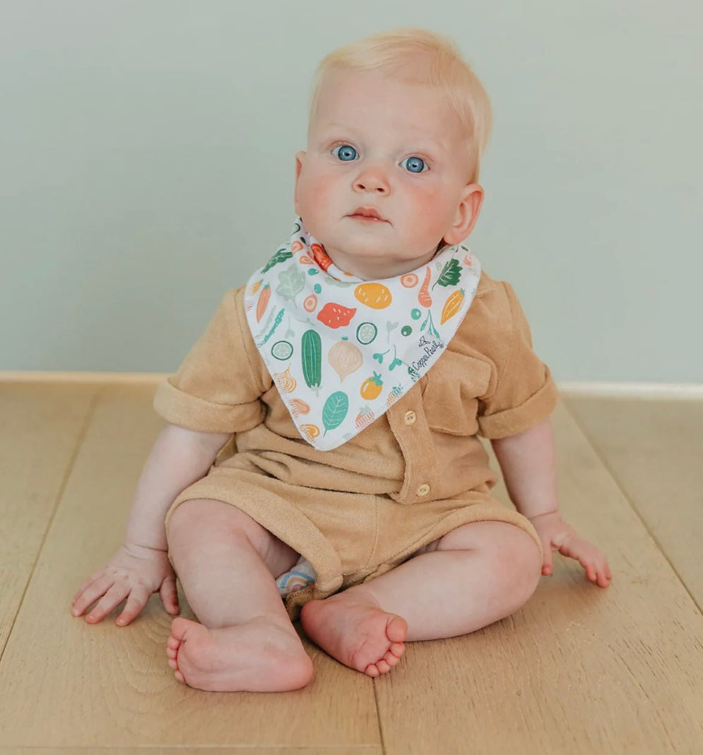 Veggies Bandana Bib Set (4-Pack)
